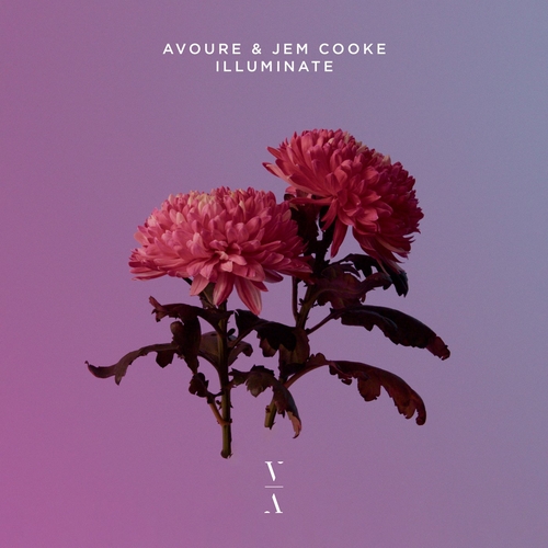 Avoure & Jem Cooke - Illuminate [TNH164E]